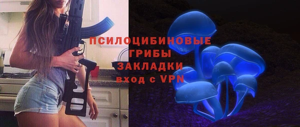 молекула духа Белоозёрский