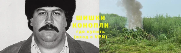 молекула духа Белоозёрский