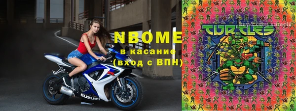 молекула духа Белоозёрский